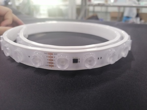 2009半套管滴胶柔性洗墙灯-42灯幻彩