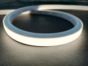 1312MINI型柔性洗墙灯